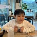 원조포천닭갈비 막국수 이미지