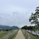 호국로 | 칠곡 가볼만한 곳 호국로걷기체험 전투전승행사 임창정 이재훈 공연 후기