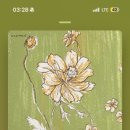 해우