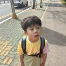 재하목장 이미지