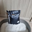 모래실 | 고양이 집사의 인생템 찾았다! 가성비 최고 벤토나이트모래 리뷰