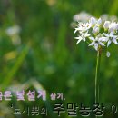 리언농장 이미지