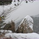 용화축산 이미지