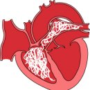 아델동물병원 이미지