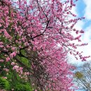 적성입구 이미지