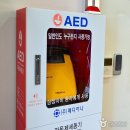 심장박물관 이미지