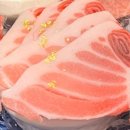 참치연 - 고양시 일산동구 무궁화로 31-16 | 참치연