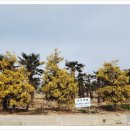 테크농산 이미지