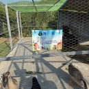 옥계농장 이미지