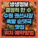 세권로 | 생생정보 2532회 결정적 한 수 수원 권선시장 족발 순댓국 맛집 어디?(+위치 예약방법)