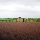 자연그대로 이미지