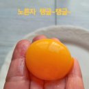 복지농장 | 동물복지 무항생제를 넘어서, 봄빛농장 유정란 후기