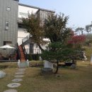 호수창이예쁜가 이미지