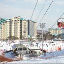 곤지암리조트 이미지