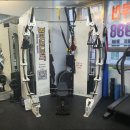 베어리핏 이미지