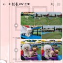 소중한 개 이미지