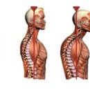 직장인요가 이미지