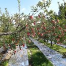 플러스농장2 이미지