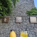 돌카롱 | 제주도 제주시 제주시버스터미널 근처에 위치한 돌카롱 제주공항점 생생 방문후기