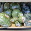 안성인삼농협 본점 이미지