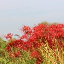 석산