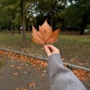 청파님 안녕하세요 이미지