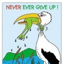 Never ever give up ! 이미지