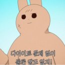 내가 찾던 한끼 이미지