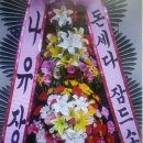 오케이포차 이미지