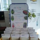 한국지엠아산바로서비스 이미지