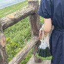 씨유제주표선리점 | #2 수만두와 떠난 JEJU 두 번째 이야기 🍊 (ft.자매 여행)