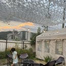 47 | 보한재47 : 애견동반 의정부캠핑식당