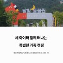 고씨동굴 광장 화장실 | 세아이와 함께 떠나는 영월 펫힐링달빛동물&amp;오토캠핑장 여행기