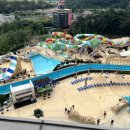 스플라스리솜 이미지