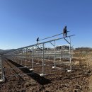 대신 태양광발전소 이미지