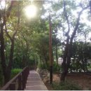 미리내어린이공원 이미지