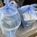 장안51 | 가자미물회 우럭미역국 현지인 맛집 강릉 장안횟집 포장 후기