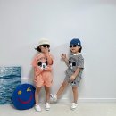 리틀필 이미지