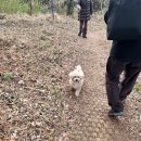 안좌 | 전남 신안 가볼 만한 곳 퍼플섬 솔직 후기 위치 맛집 가는법 입장료 무료입장 주차장