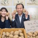 감자인력 이미지