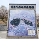 경안로98번길 | 화담숲 안 부러운 벚꽃 숨은 명소! 경기 광주, 광주시호국보훈공원 벚꽃 만개