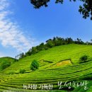 뜰안에 민박 이미지