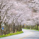 서시천자전거길2 이미지