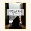 대원사 | 가평 대원사 템플스테이 후기