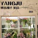 나를 물들이는 감성캘리그라피 | 양주 옥정꽃집추천 엘플레르 감성꽃과 캘리그라피까지 만난 특별한 공간