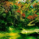 시립중계노인전문요양원 이미지