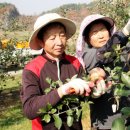 성갑 농장 이미지