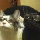 VIEW안경 이미지