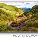 라온달미 | 단양 보발재 가을단풍 명소｜충북 단양 가볼만한곳, 고갯길과 전망대에서 바라보는 단풍 드라이브 코스