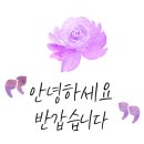 넥스프레스